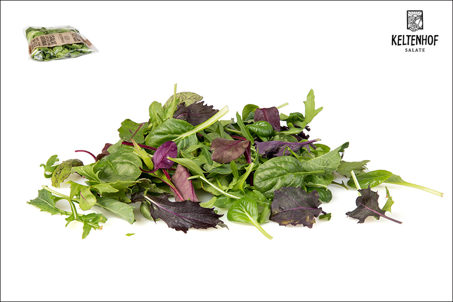 MISCHSALAT (BABY LEAF)