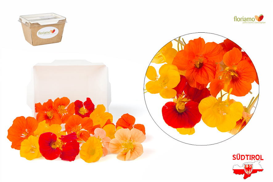 FIORI DI CAPPUCCINI AA