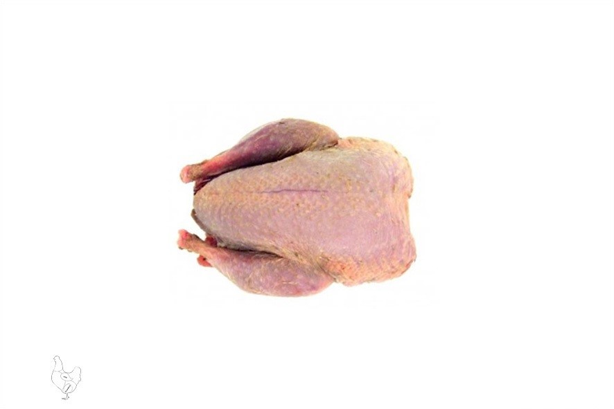 REBHUHN GANZ 300GR TK