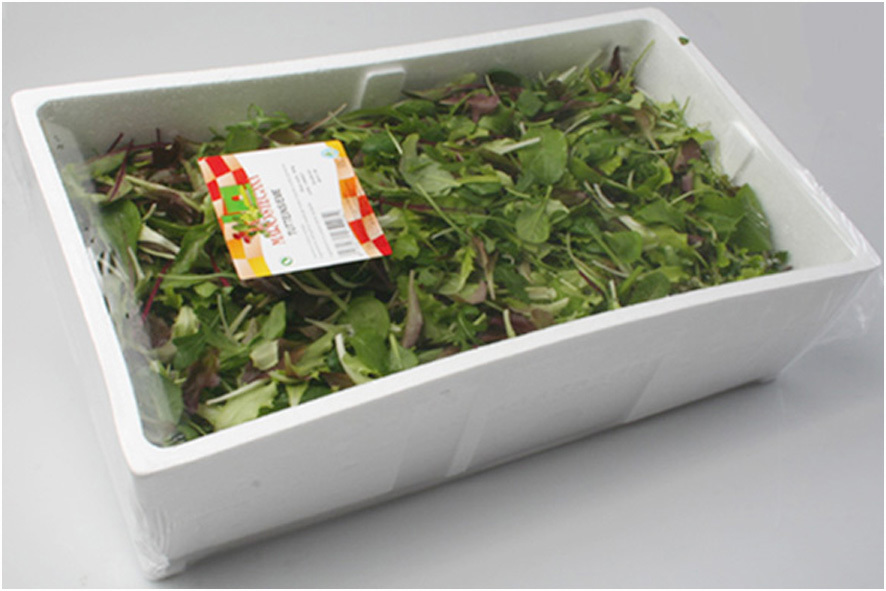 INSALATA MISTA (MISTICANZE)