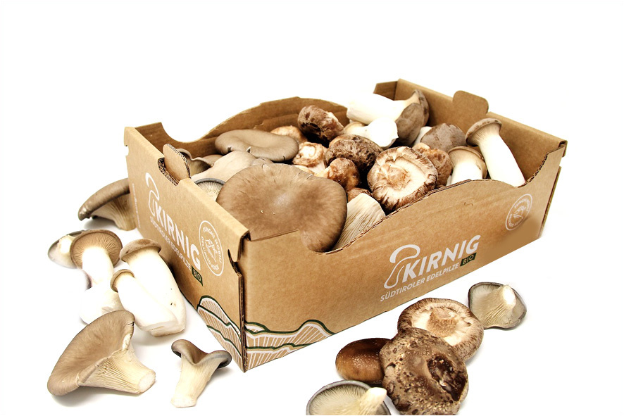 CARDONCELLI/SHIITAKE/PLEUROTUS BIO