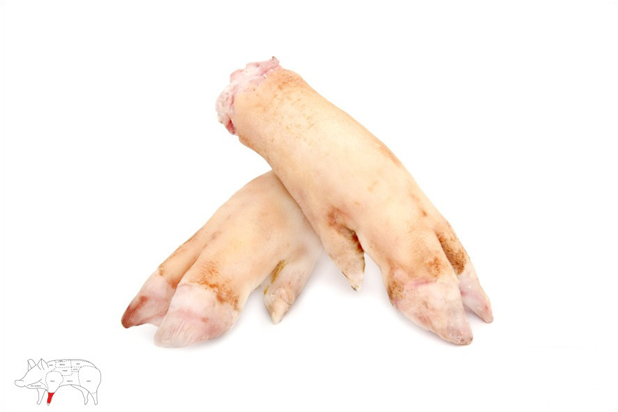 SCHWEIN FUESSE