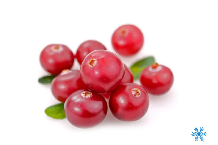 PREISELBEEREN TK
