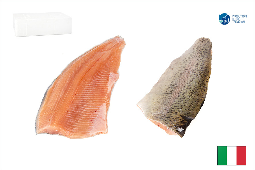 TROTA SALMONATA FIL. C/P 140-200 GR