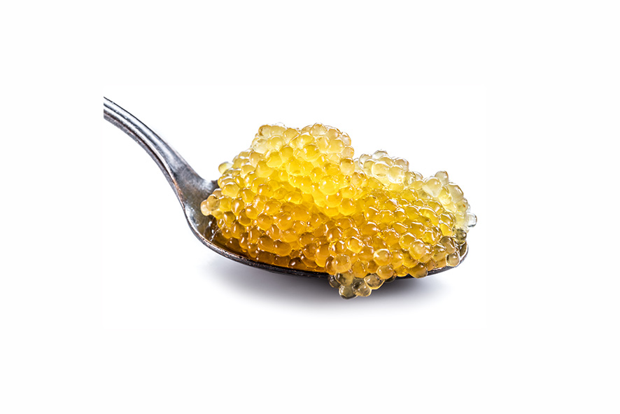 CAVIALE DI TROTA GIALLO
