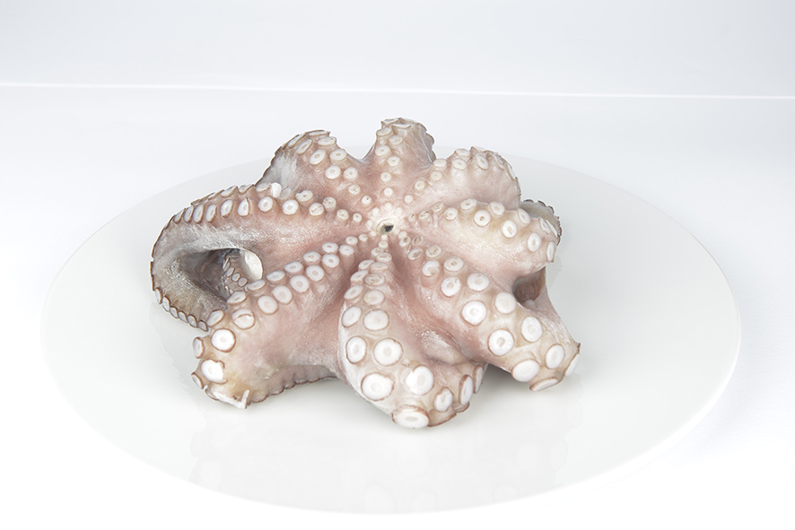 OCTOPUS-KRAKE APULIEN 2-3 KG TK