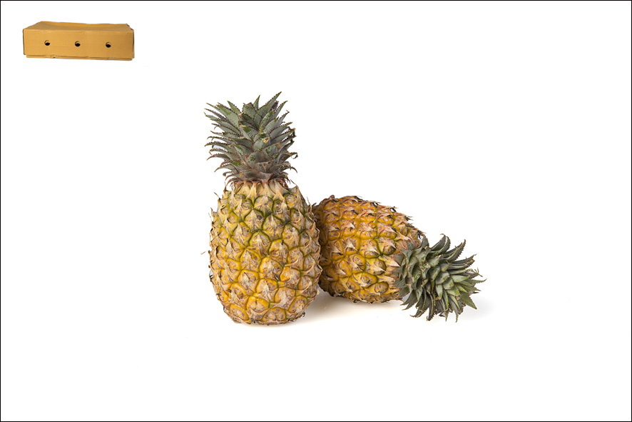 MINI ANANAS BATAVIA VIA AEREA