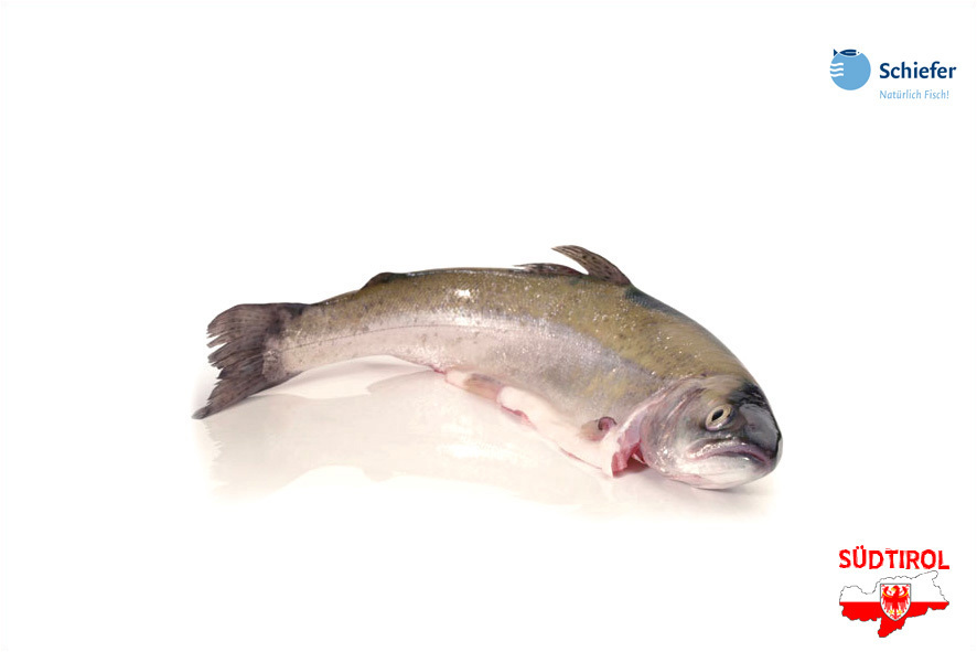 TROTA EVISC. 250-450 GR ALTO ADIGE