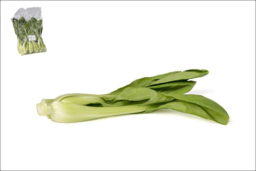 VERZA CINESE-MINI PAK-CHOI