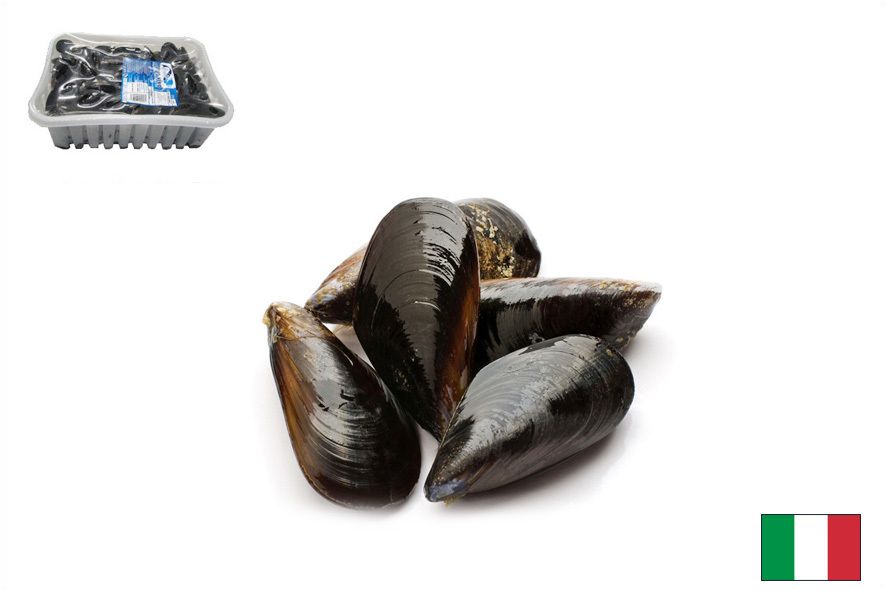 COZZE PULITE SOTTOVUOTO(I)