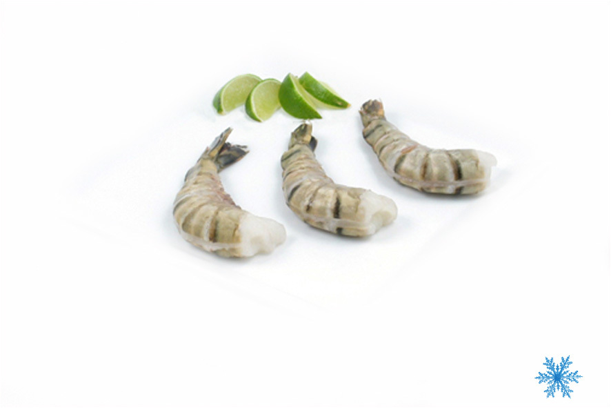 GARNELENSCHW. 16/20 EASY PEEL  TK