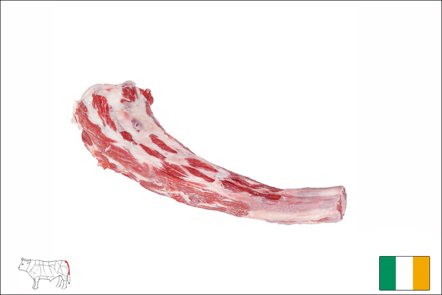 MANZO CODA 2 X (IRL)