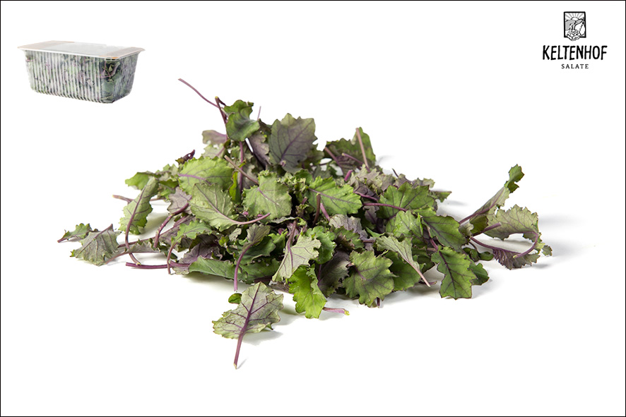KALE SALAT ROT