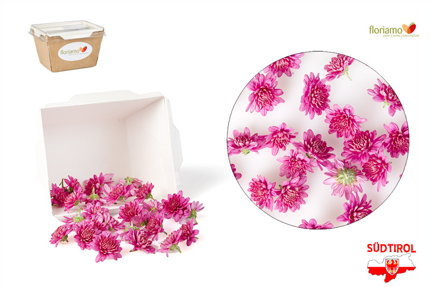 FIORI CRISANTEMO EDULI