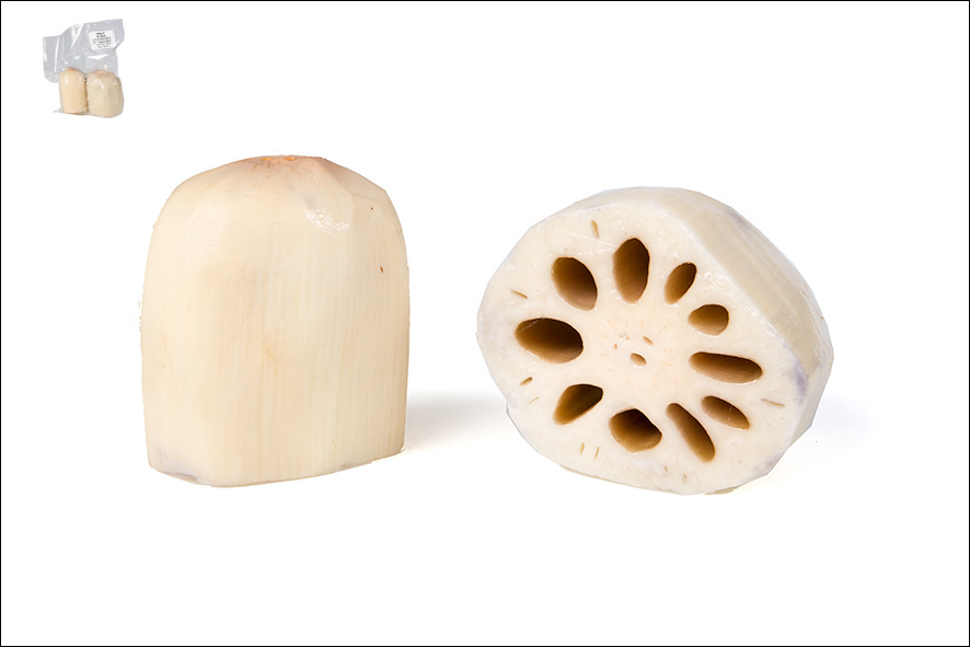 LOTUS WURZELN (T)