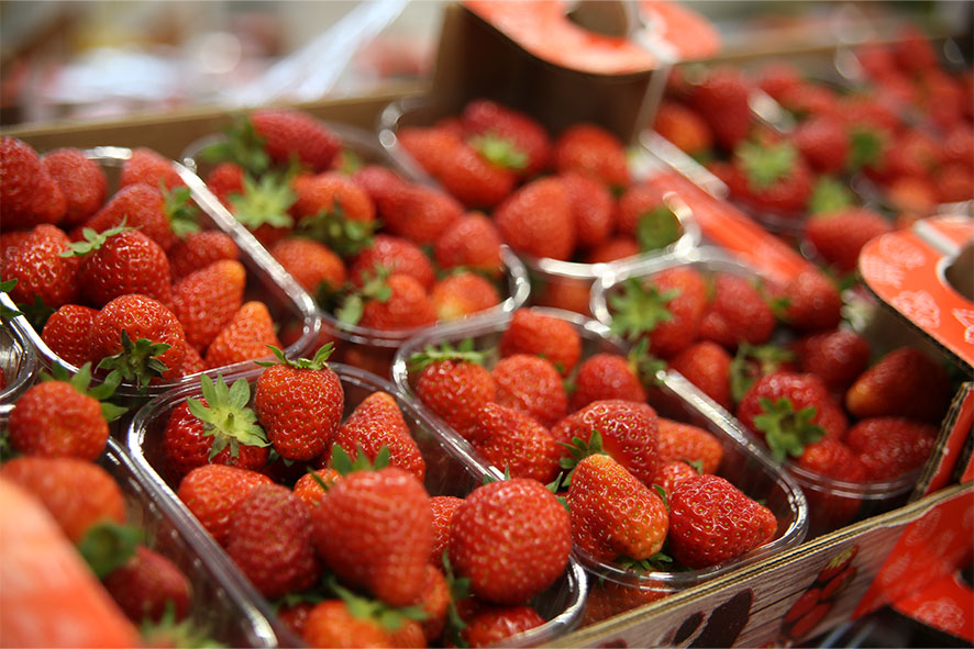 BERGERDBEEREN BIO (SUEDTIROL)