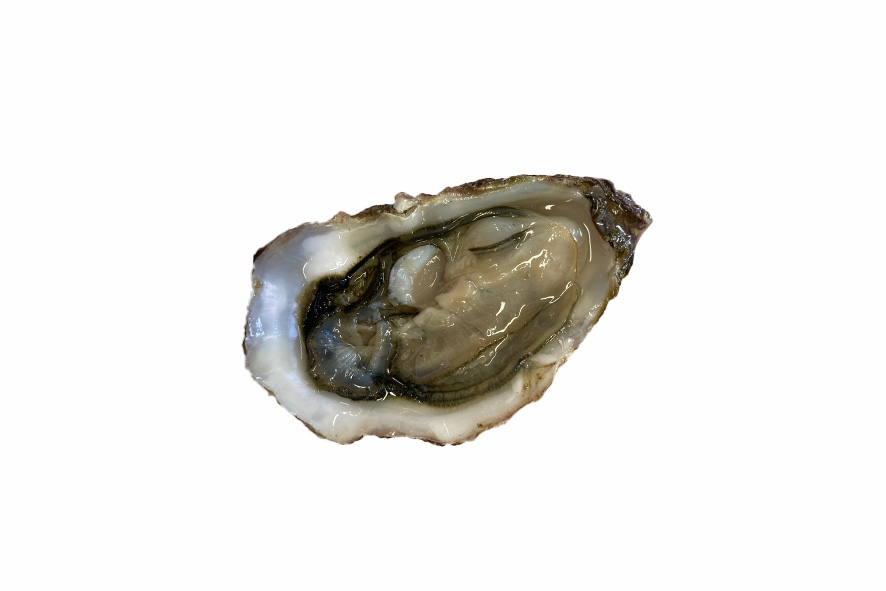 OSTRICHE SPECIAL DE BRETAGNE N°5