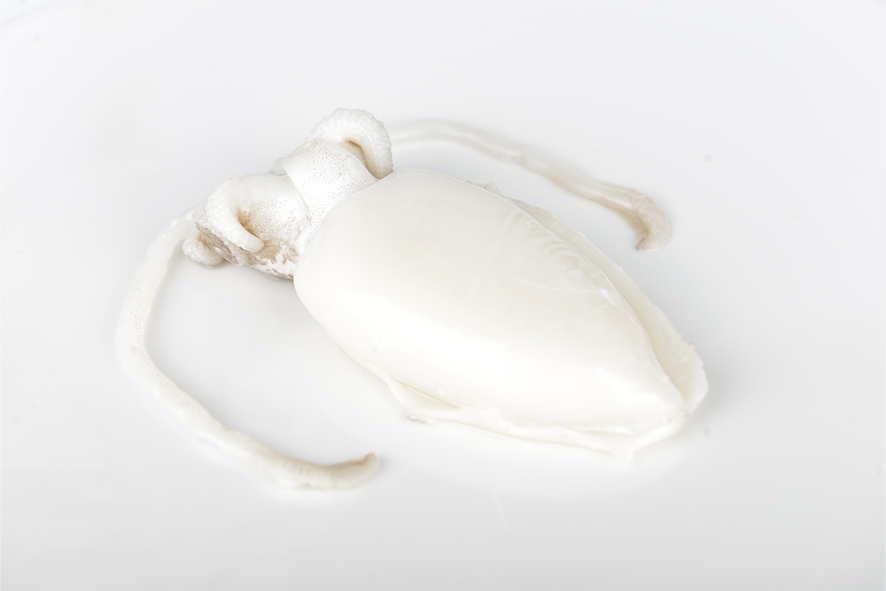 TINTENFISCH GEPUTZT 100-200 GR TK