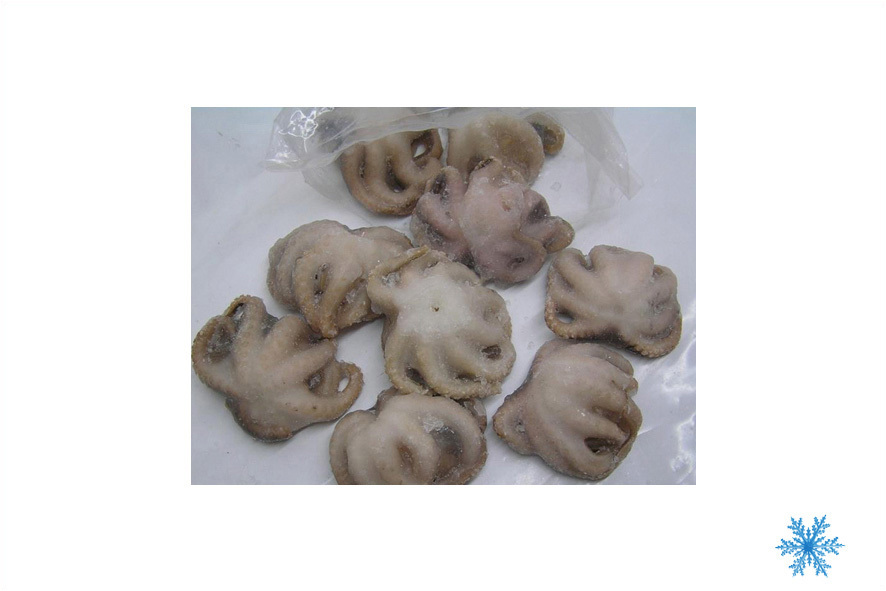 POLPO INDOPACIFICO 40-60 PZ/KG SG
