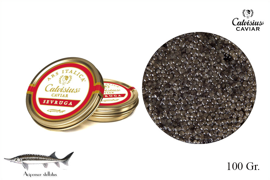 CAVIALE ARS ITALICA SEVRUGA ROYAL