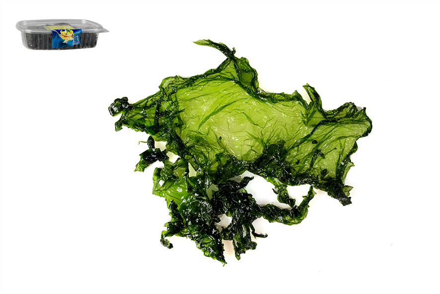 ALGHE LATTUGA MARE SOTTO SALE BIO