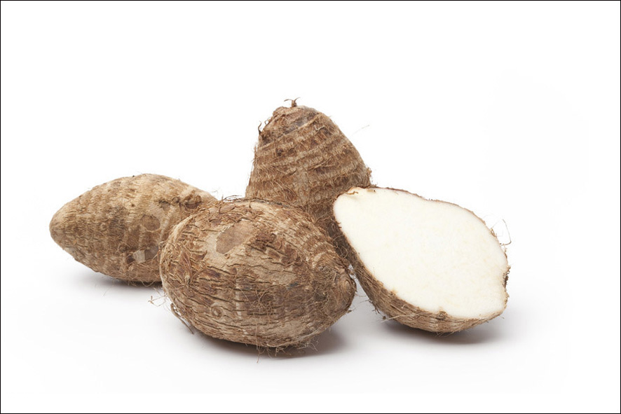 TARO WURZELN(T)