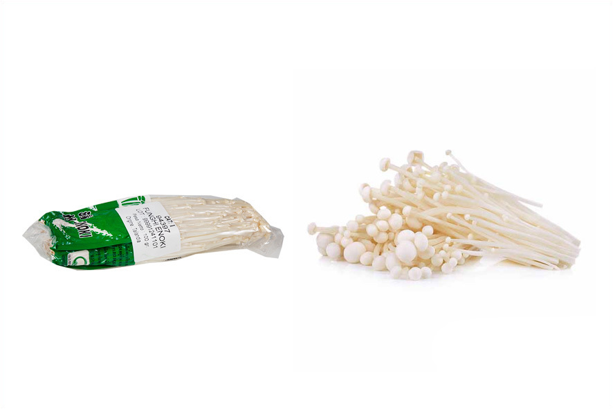 ENOKI