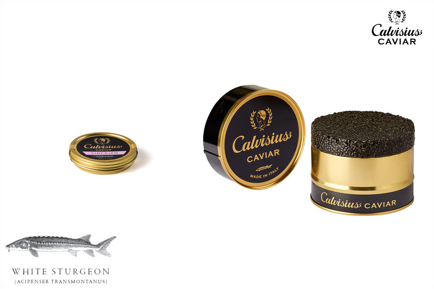 CAVIALE SIBERIAN CLASSIC