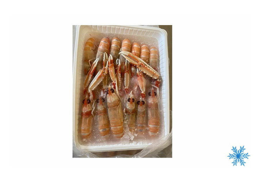 SCAMPI II 18-22 MEDITER. ITALIA SG