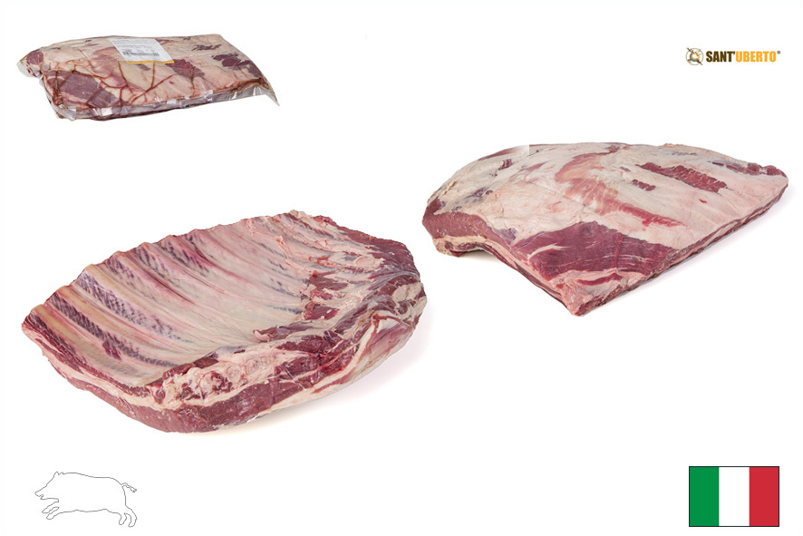 CINGHIALE COSTINE DI PANCIA  (I)