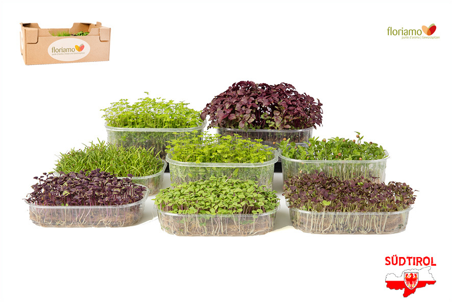 CRESCIONE HERBS COLLECTION BIO AA