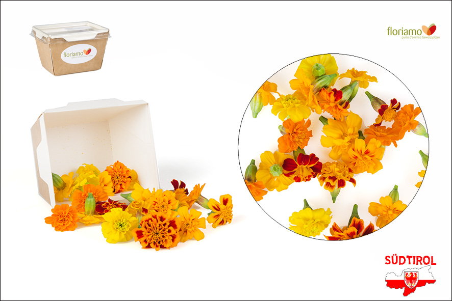TAGETES BLUETEN ST