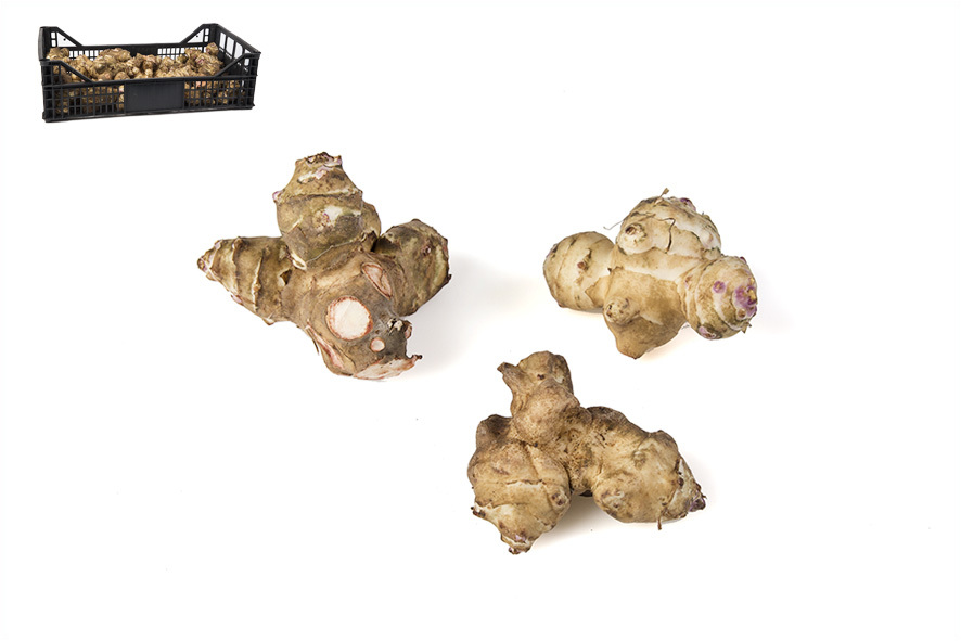 TOPINAMBOUR WEISS BIO SUEDTIROL