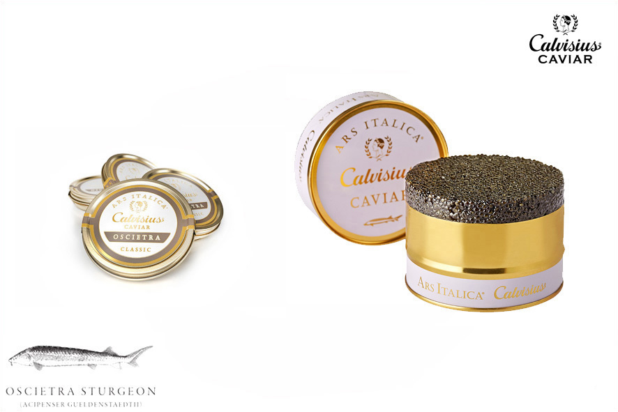 CAVIALE ARS ITALICA OSCIETRA CLASSI