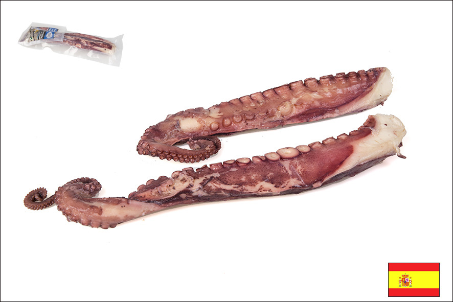 POLPO TENTACOLI COTTI 100-150 GR(E)