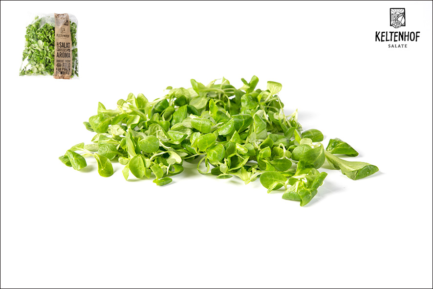 FELDSALAT KLEIN GEWASCHEN