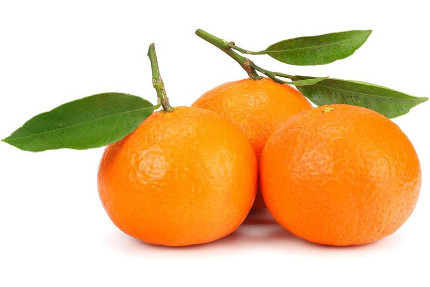 CLEMENTINEN MIT BLATT