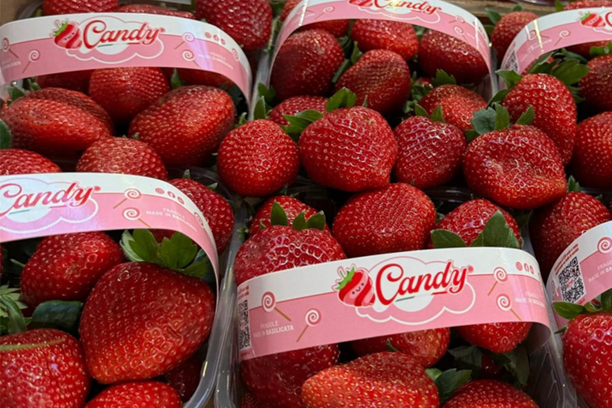 FRAGOLE CANDY