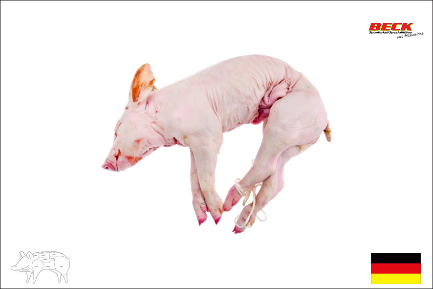 MAIALINO DISOSSATO 8-12 KG