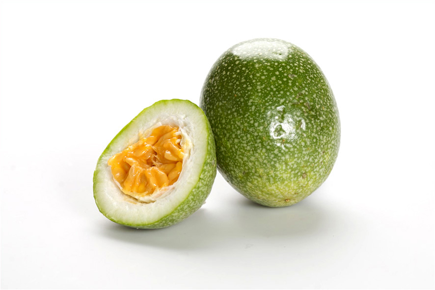KOENIGSMARACUJA