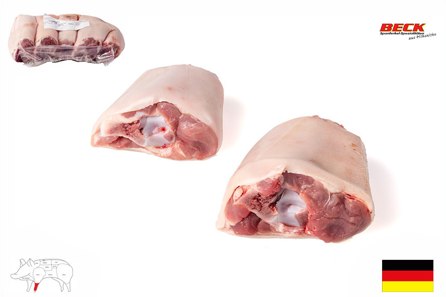 MAIALINO STINCHI ANT.