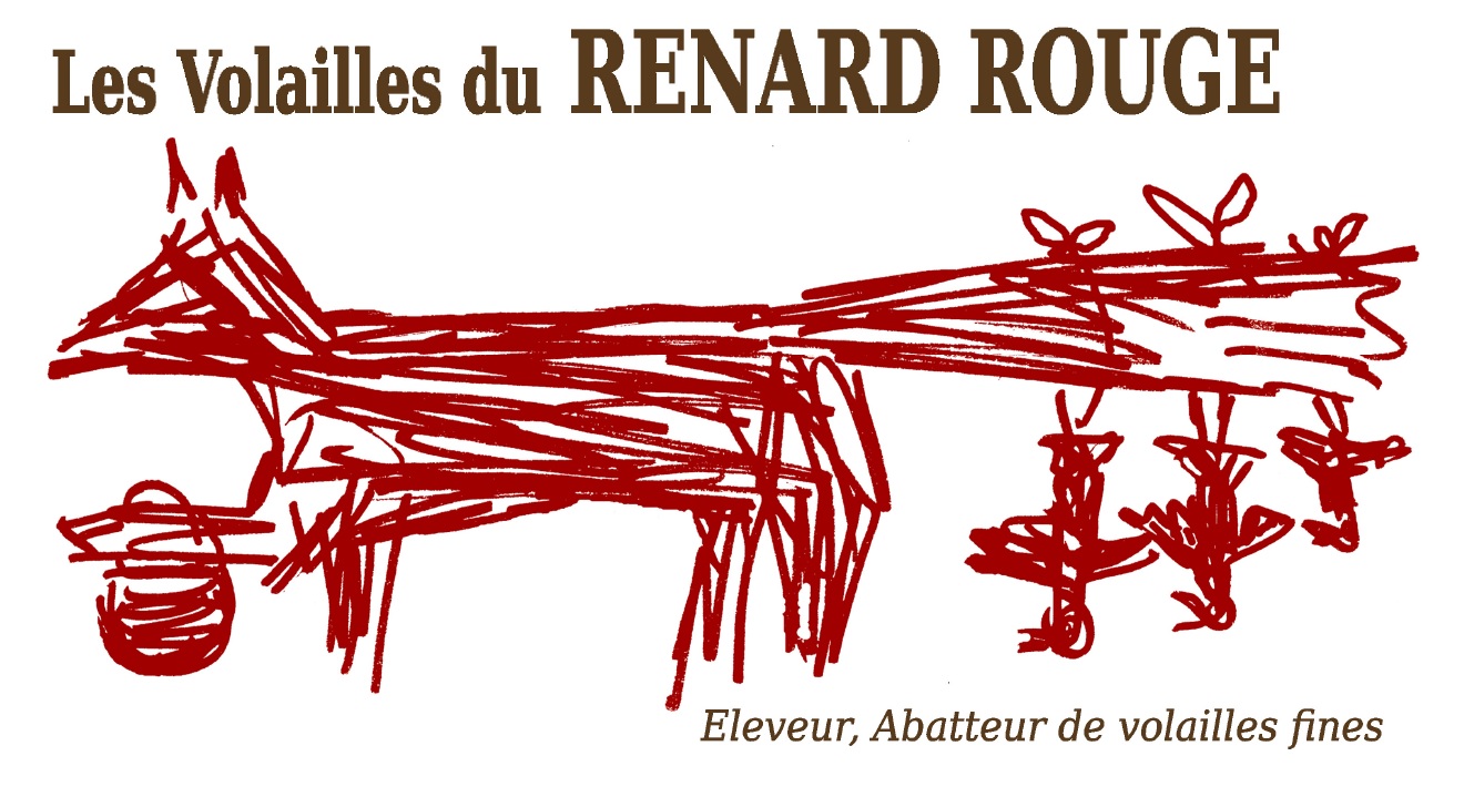 Renard Rouge