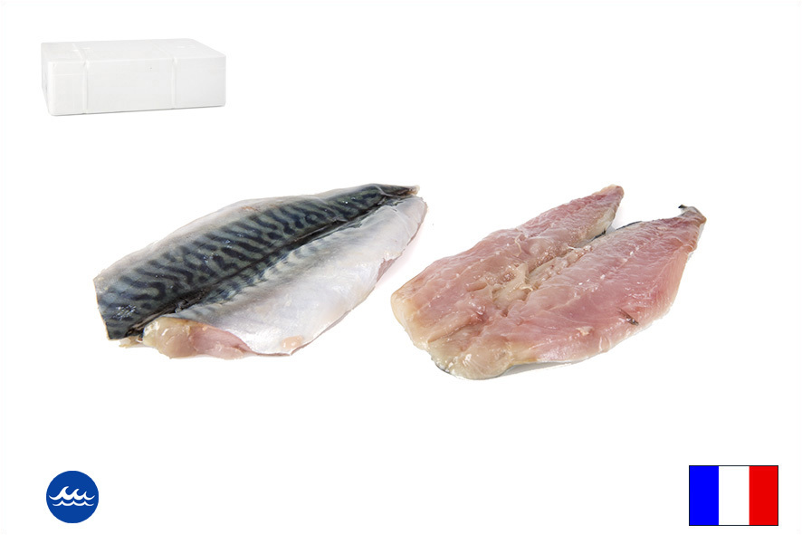 MAKRELEN FILET WF 40-100 GR(F)