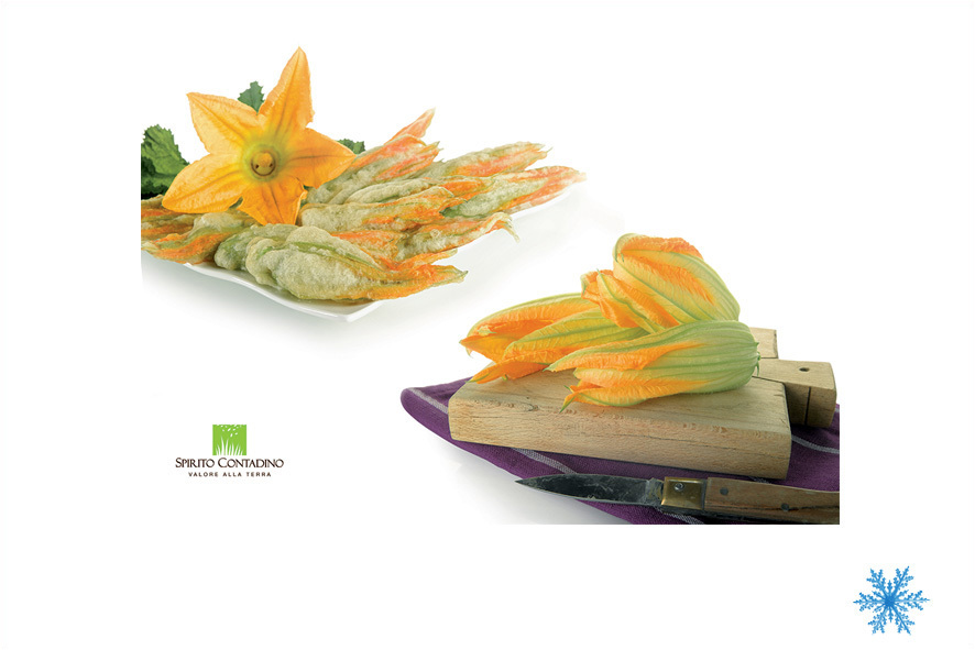 KUERBISBLUETEN MEHLIERT TK