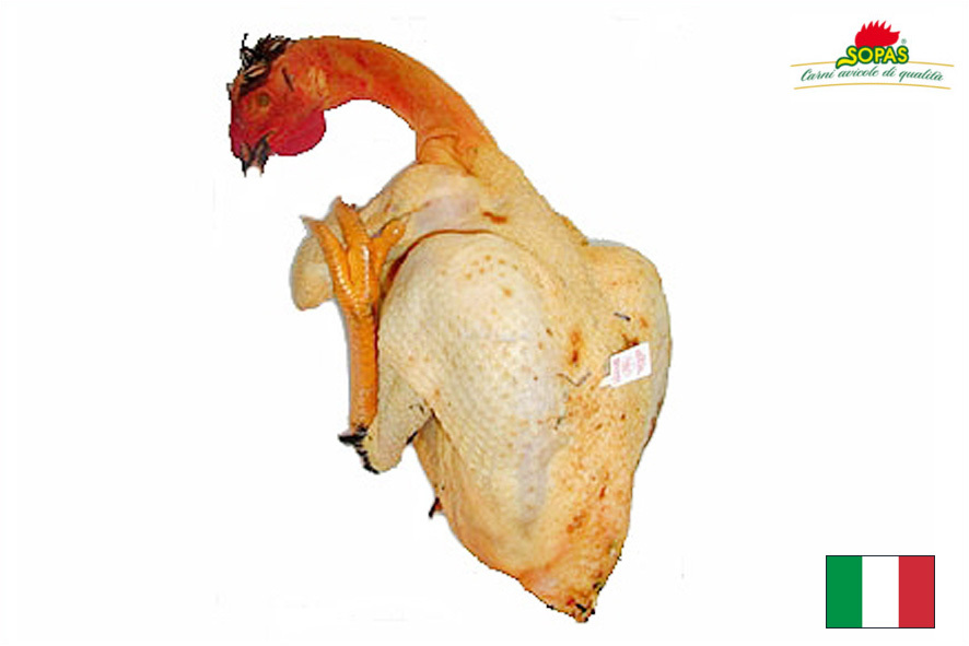 CAPPONE ALLEVATO 2-2,3 KG(I)