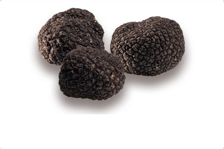 TARTUFO NERO ESTIVO 15/79 GR