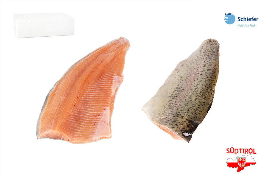 TROTA SALM.FIL. 200-250 GR ALTO ADI