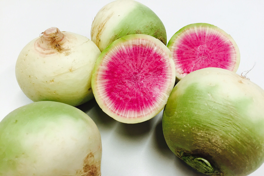 WASSERMELONE RETTICH