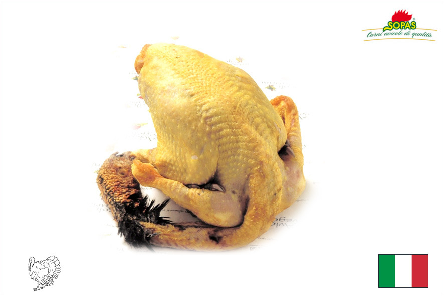 TRUTHAHN FREILAND GRAU AUSGELOEST