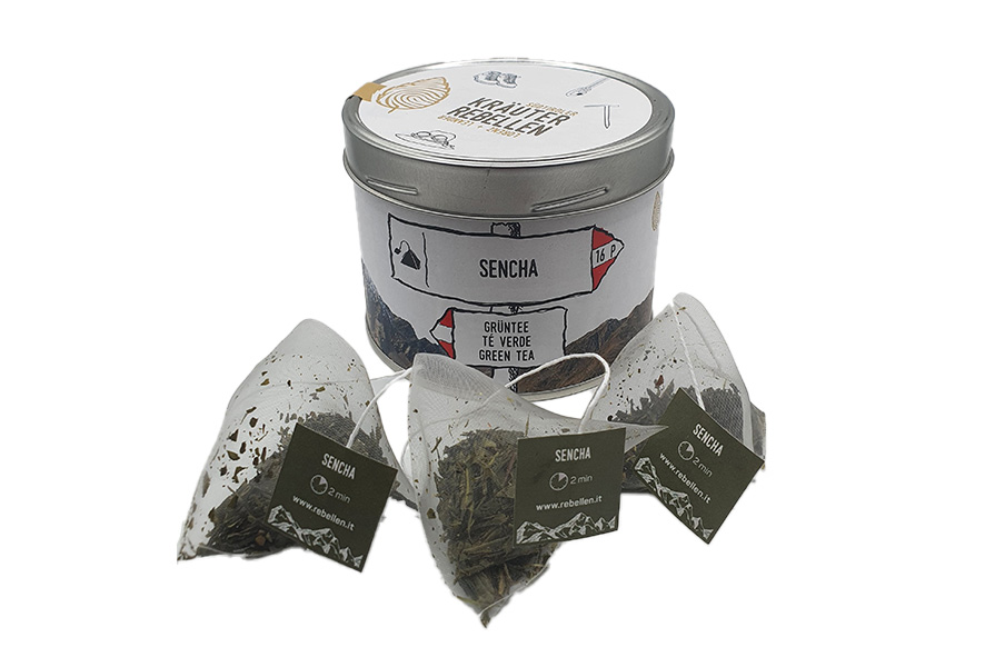 TEE GRUEN SENCHA PYRAMIDE 16 P-D